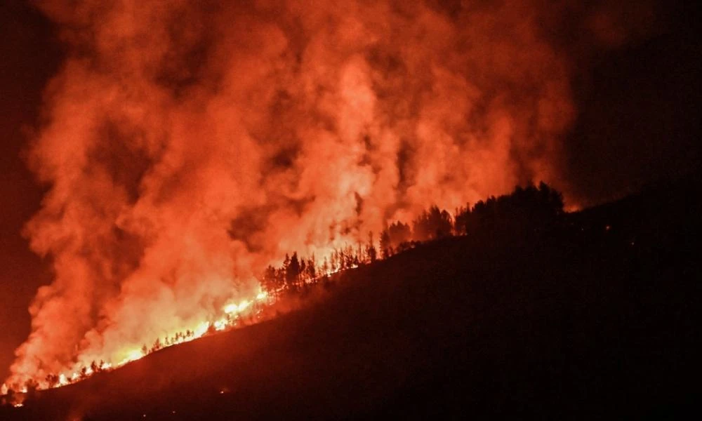 Καλαμπάκα: Οριοθετήθηκε η φωτιά στο Βασιλικό